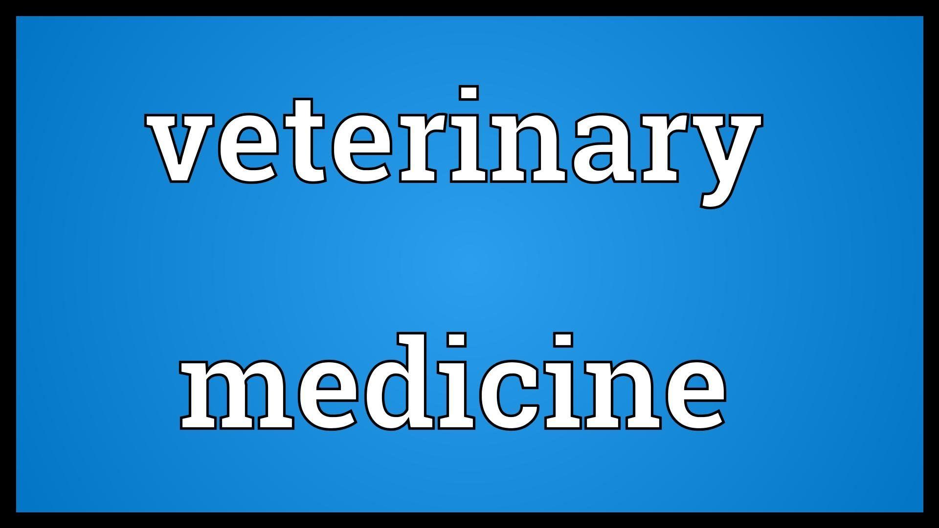 Veterinary Medicine Wallpapers Wallpaper Cave