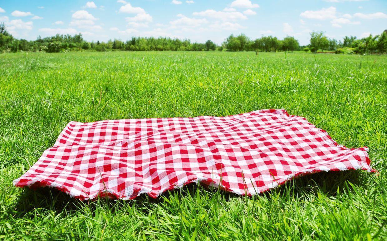 Picnic Wallpapers Wallpaper Cave
