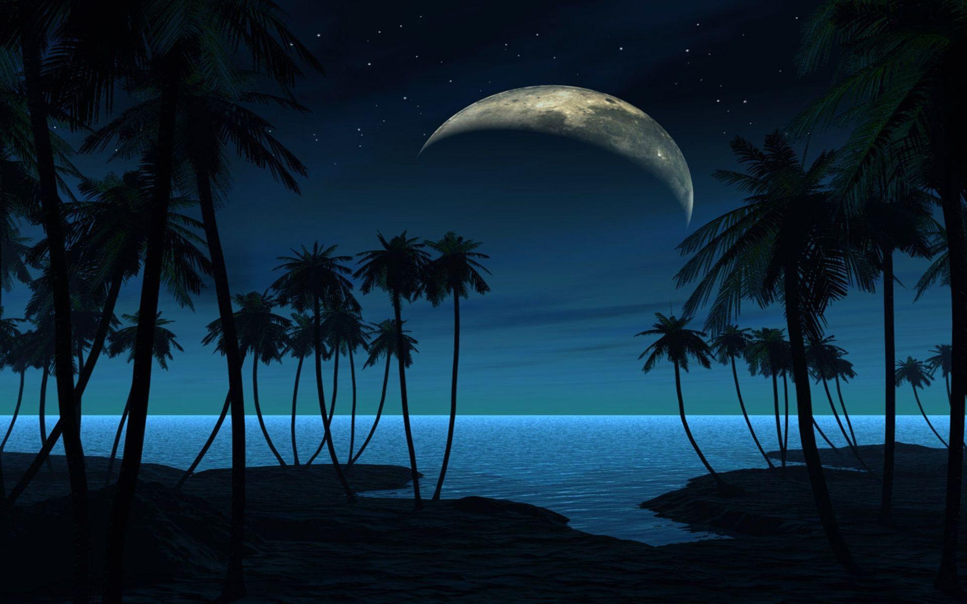 Night Beach Wallpapers Wallpaper Cave
