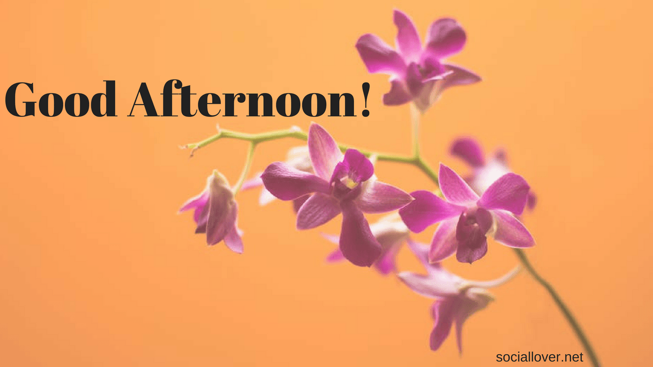 Good Afternoon Wallpapers Wallpaper Cave