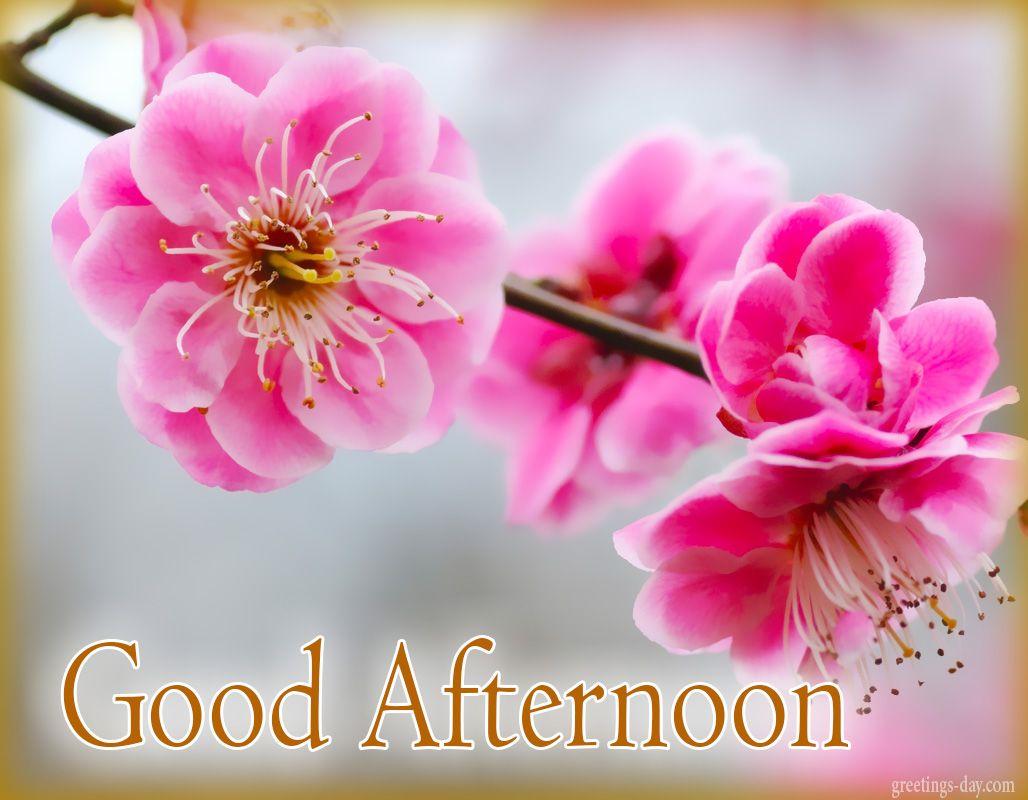 Good Afternoon Wallpapers Wallpaper Cave