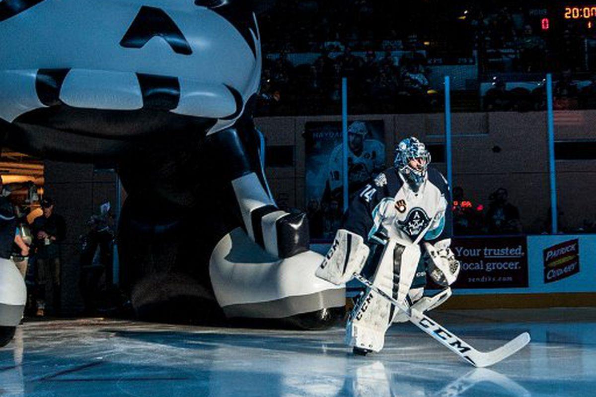 Milwaukee Admirals Wallpapers Wallpaper Cave