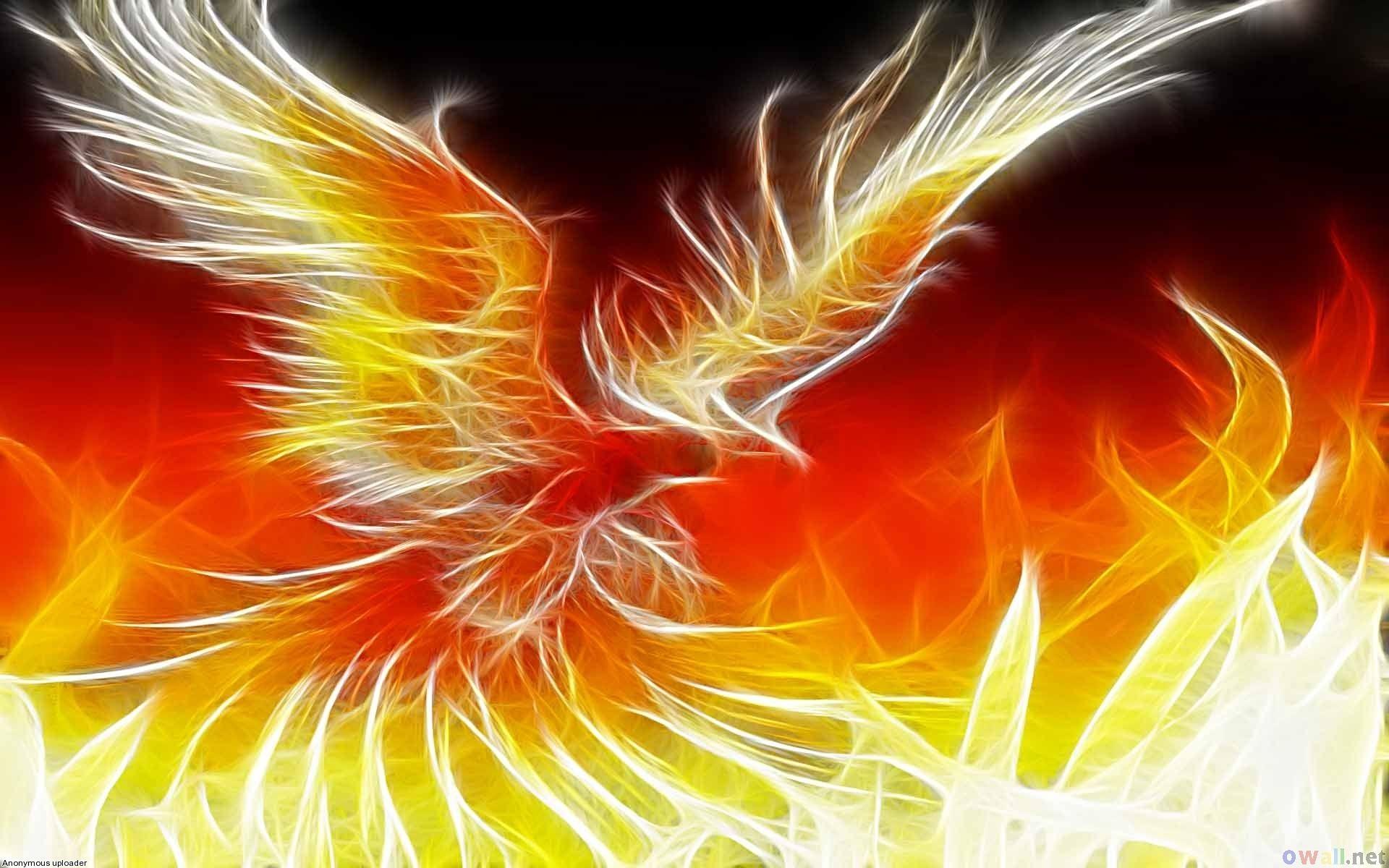 Dragons And Phoenix Rising From Ashes Wallpapers Wallpaper Cave