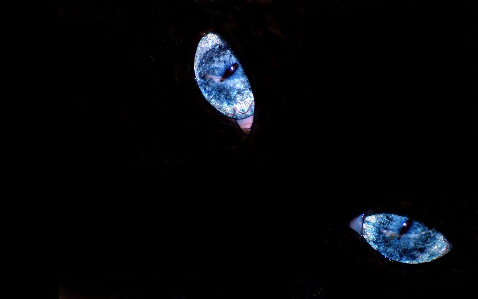 Black Eyes Wallpapers Wallpaper Cave