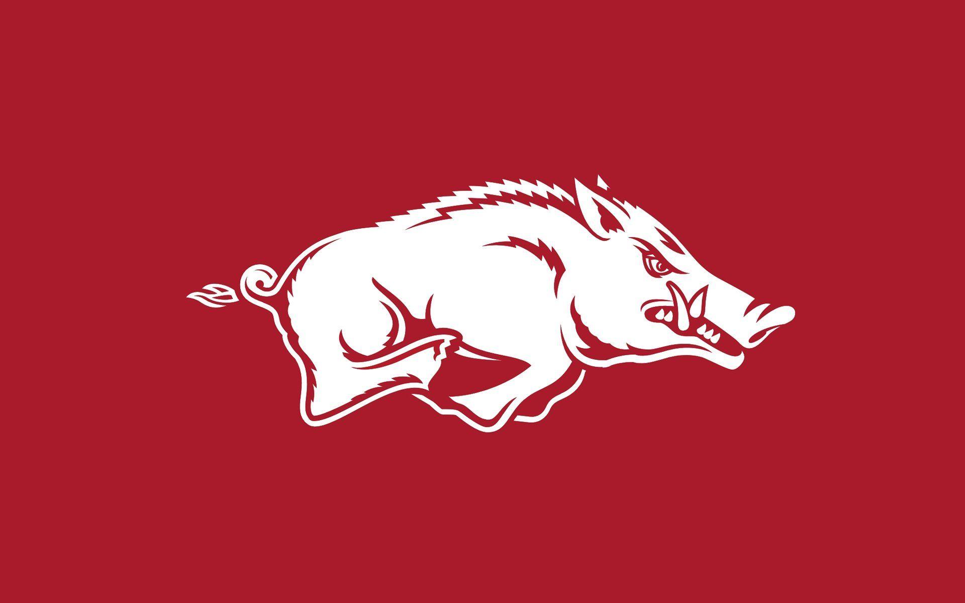 Arkansas Razorbacks Wallpapers Wallpaper Cave