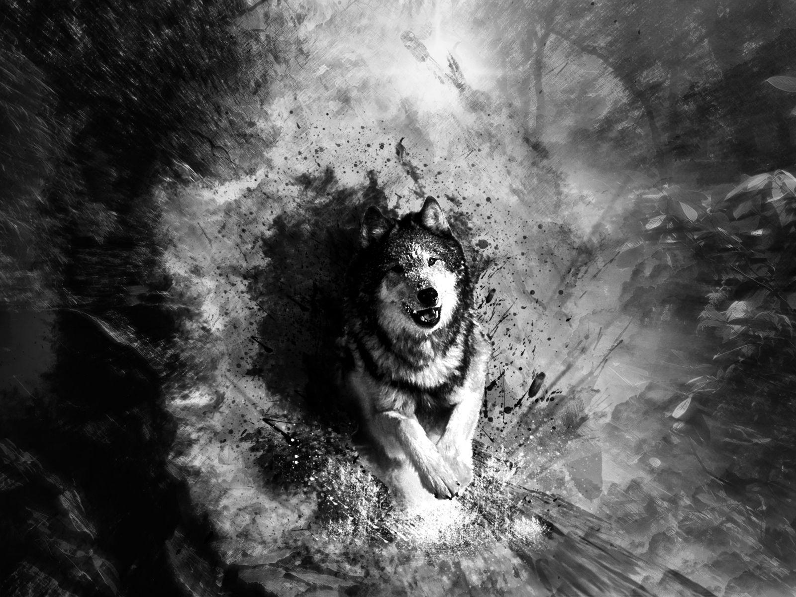 Black And White Art Wallpapers Wallpaper Cave