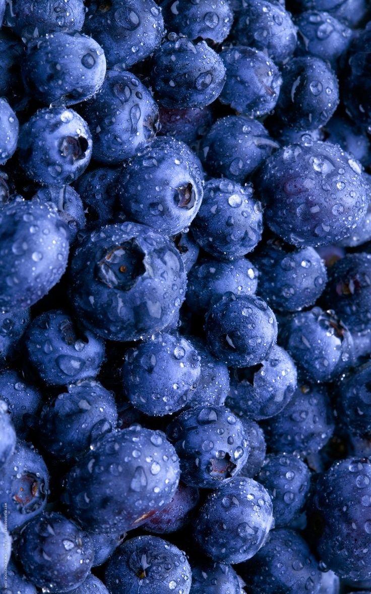 Blueberry Wallpapers Wallpaper Cave