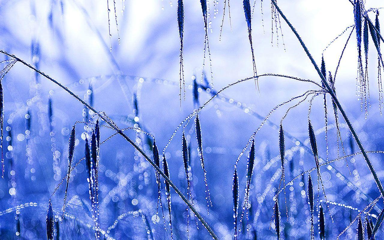 Static Wallpapers Wallpaper Cave