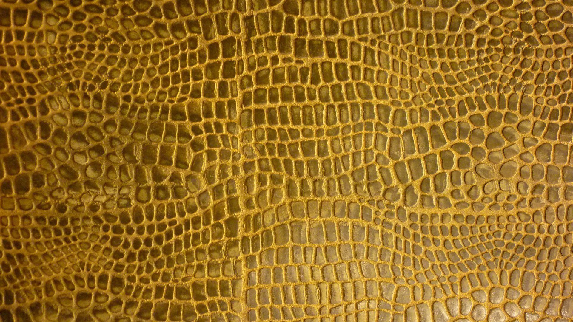 Snake Skin Wallpapers Wallpaper Cave