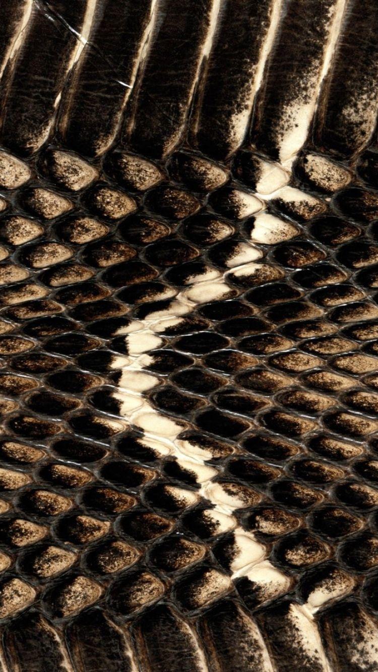 Snake Skin Wallpapers Wallpaper Cave