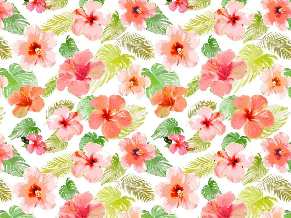 Tropical Flowers Wallpapers Wallpaper Cave
