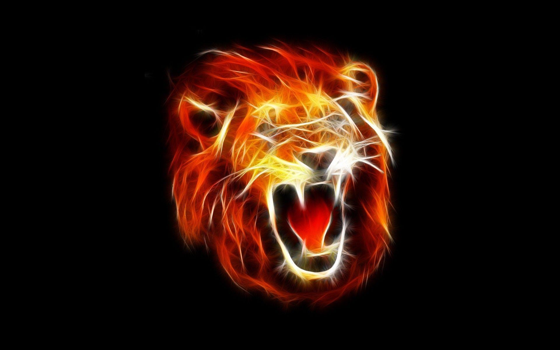 Fire Lion Wallpapers Wallpaper Cave