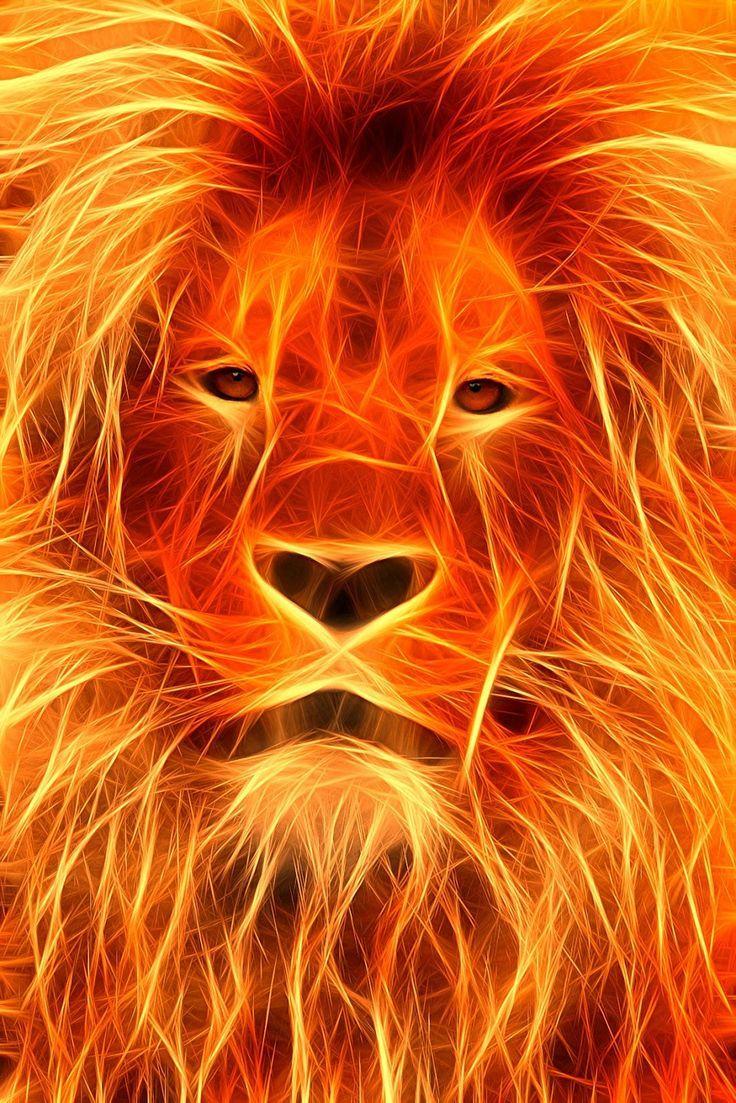 Fire Lion Wallpapers Wallpaper Cave