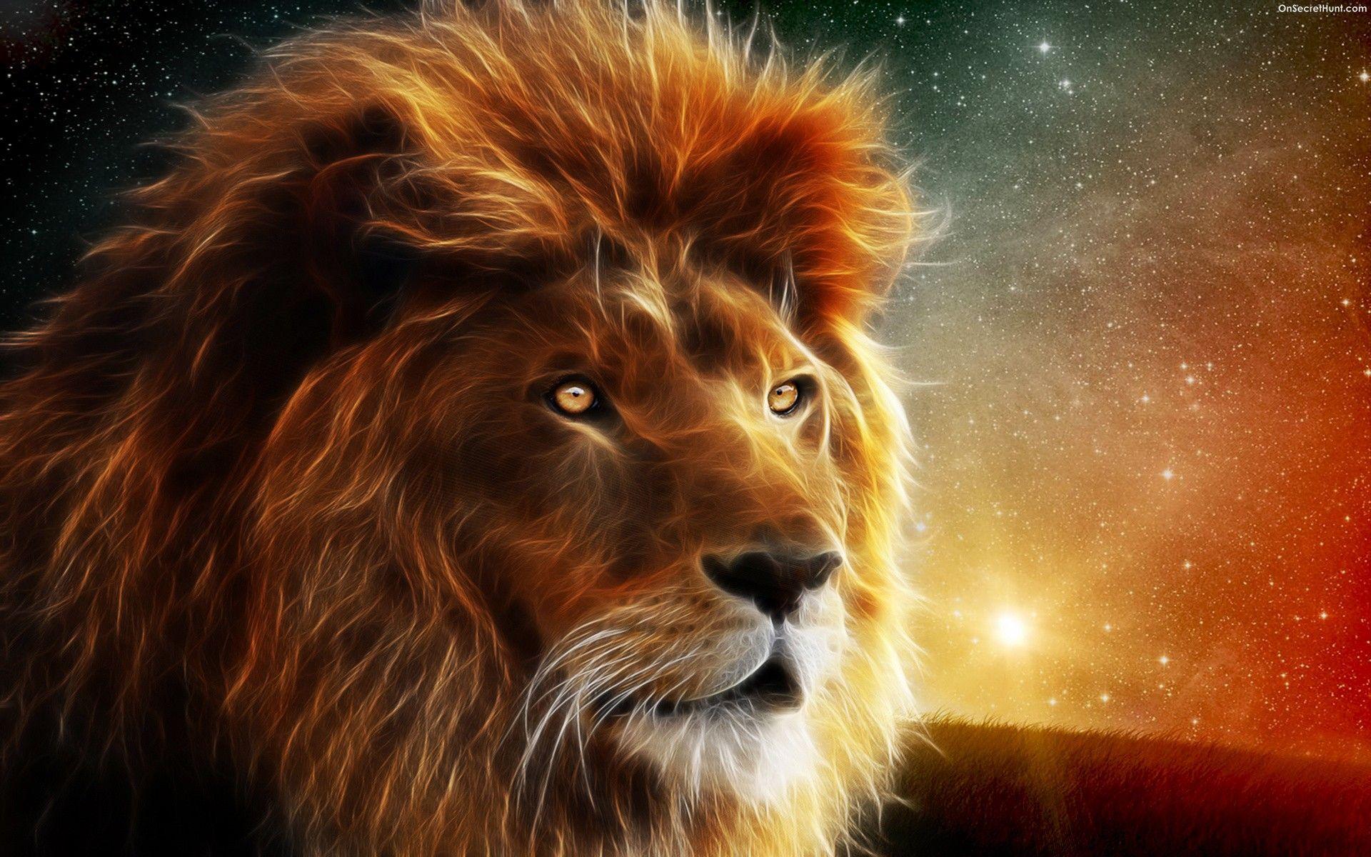 Fire Lion Wallpapers Wallpaper Cave