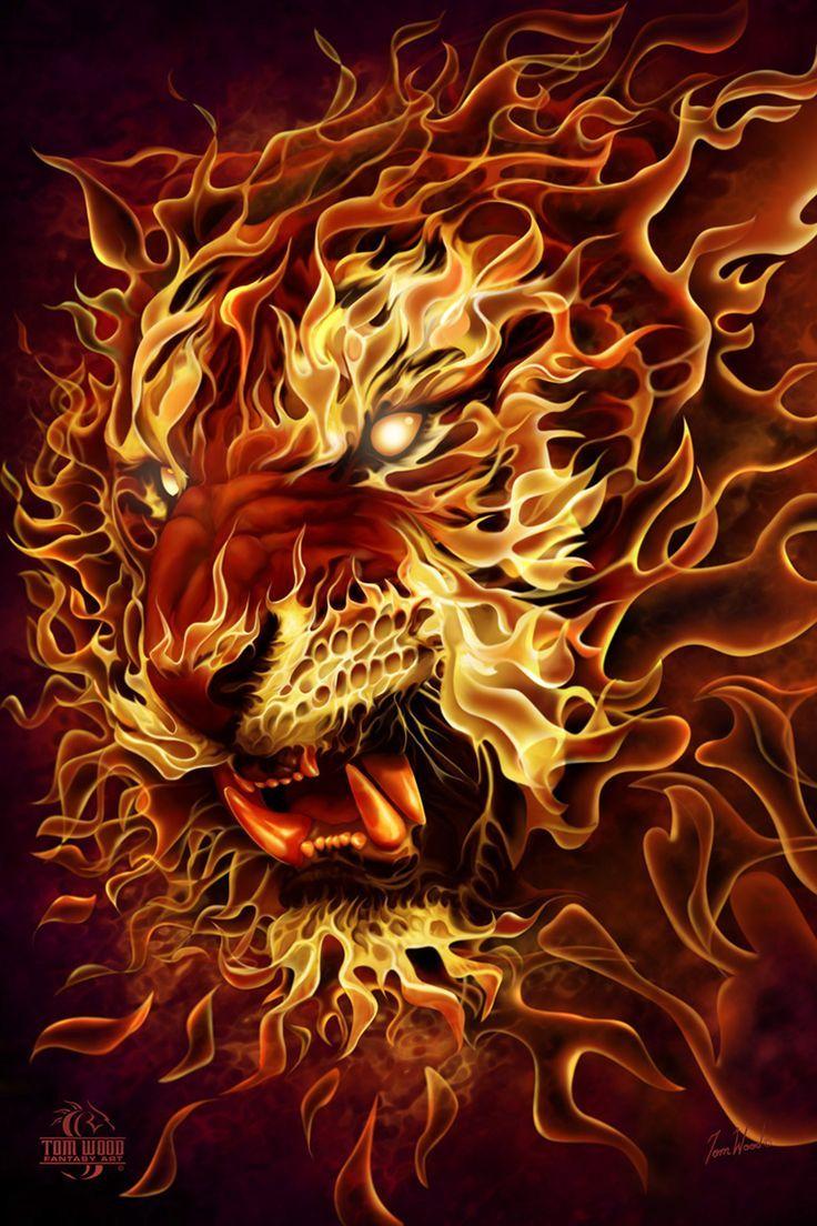 Fire Lion Wallpapers Wallpaper Cave