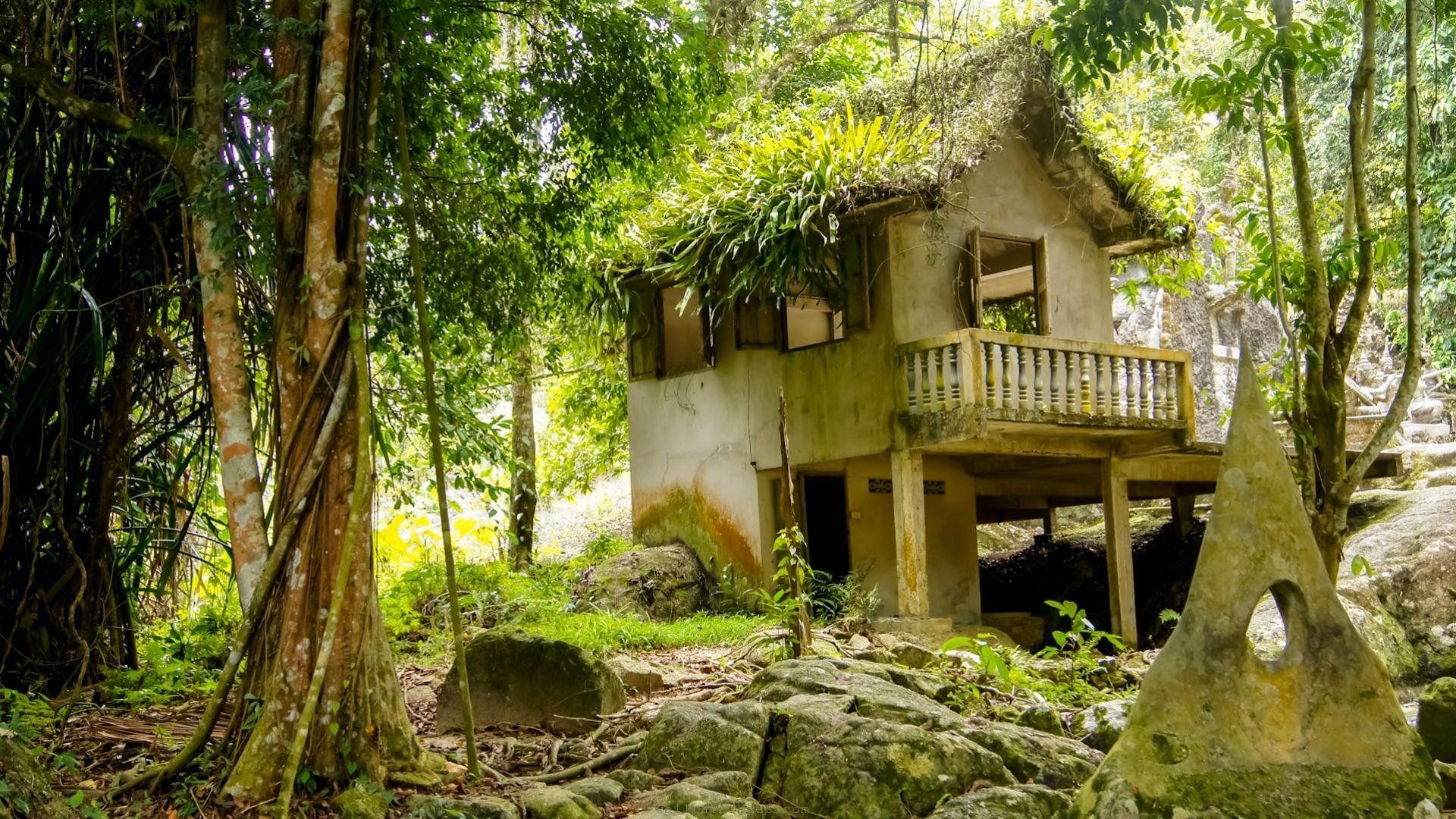 Tree House Wallpapers Wallpaper Cave