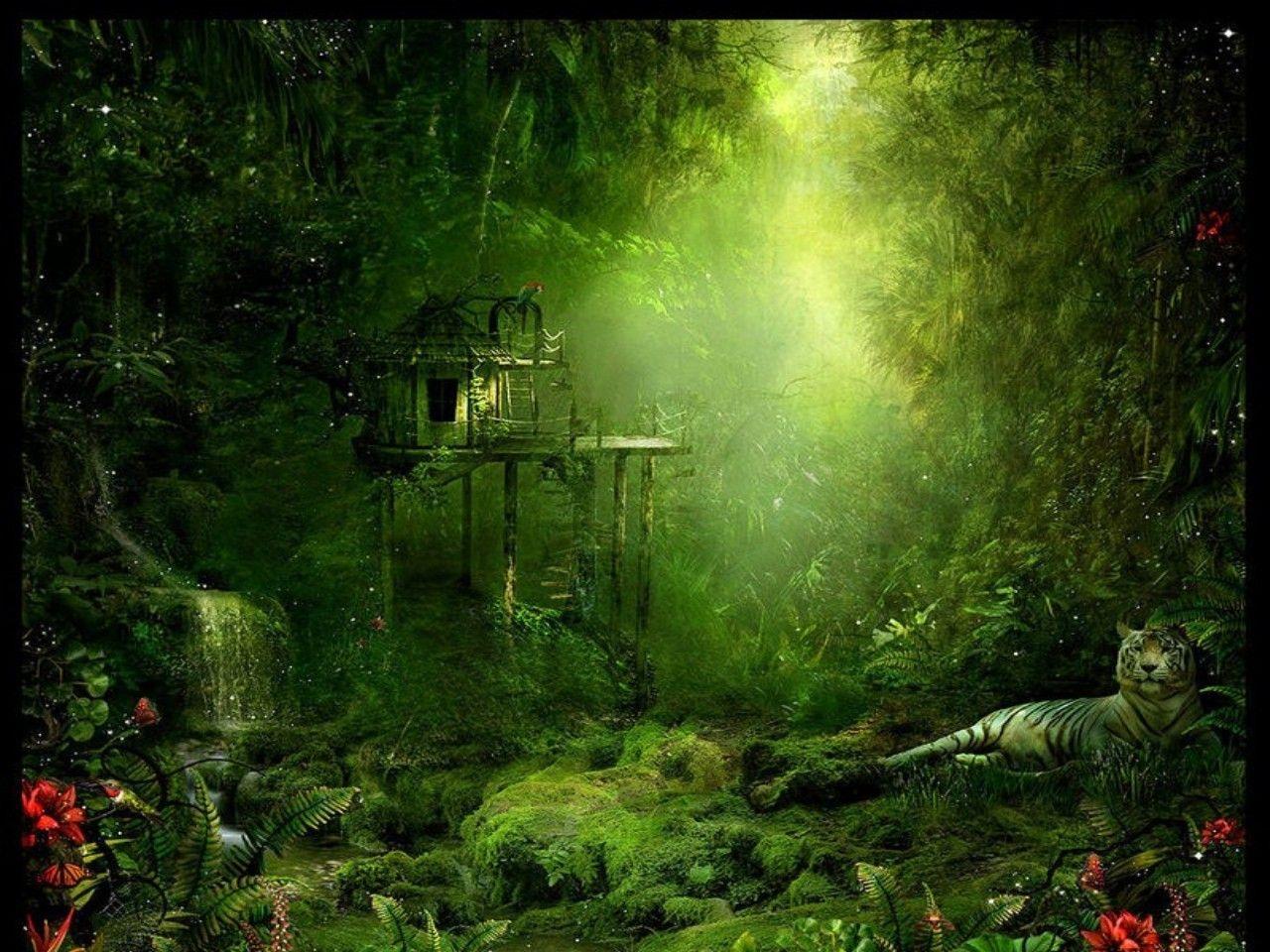 Tree House Wallpapers Wallpaper Cave