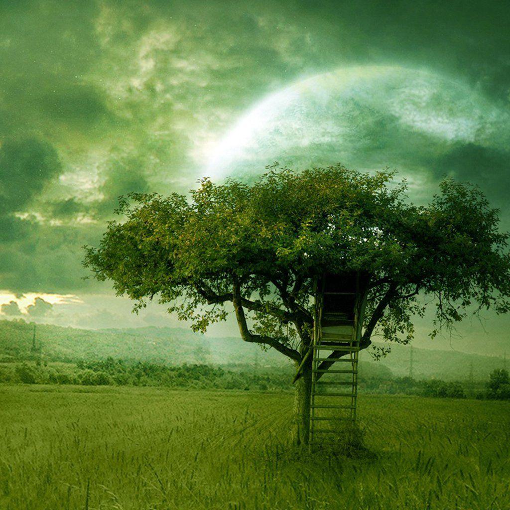 Tree House Wallpapers Wallpaper Cave