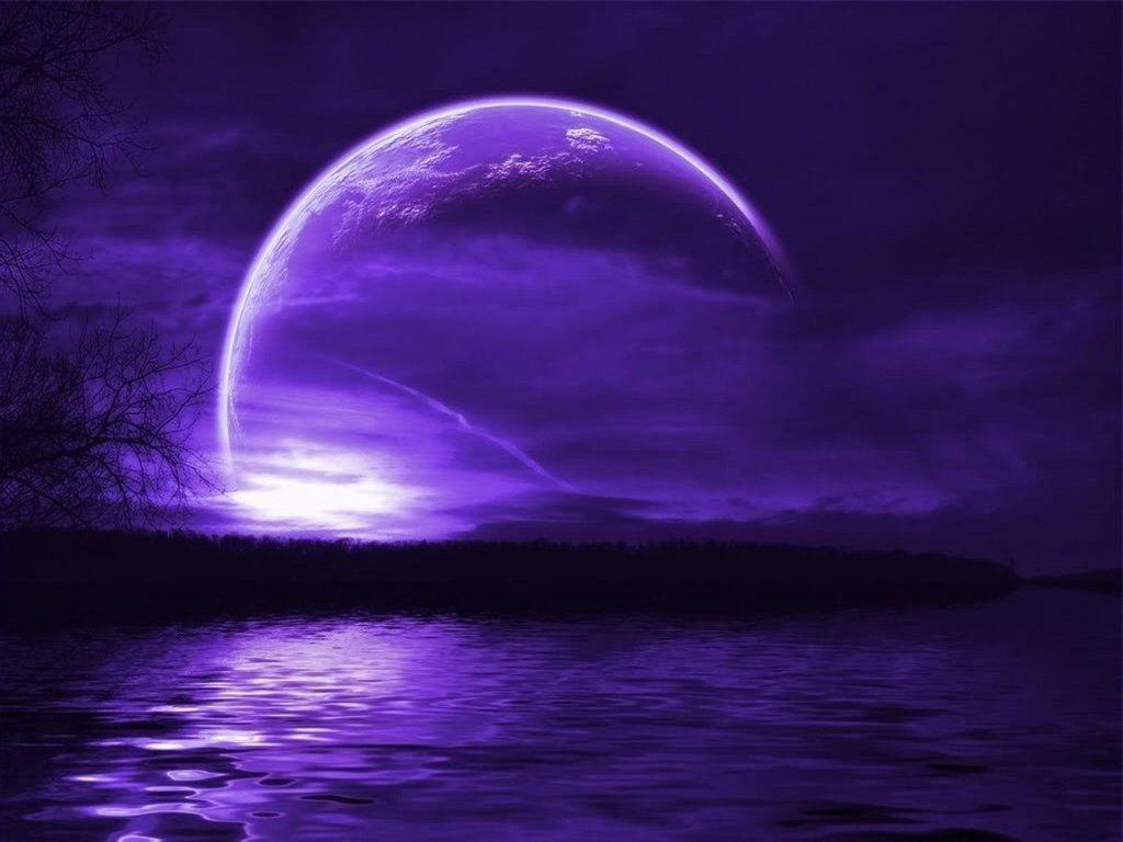 Purple Night Wallpapers Wallpaper Cave