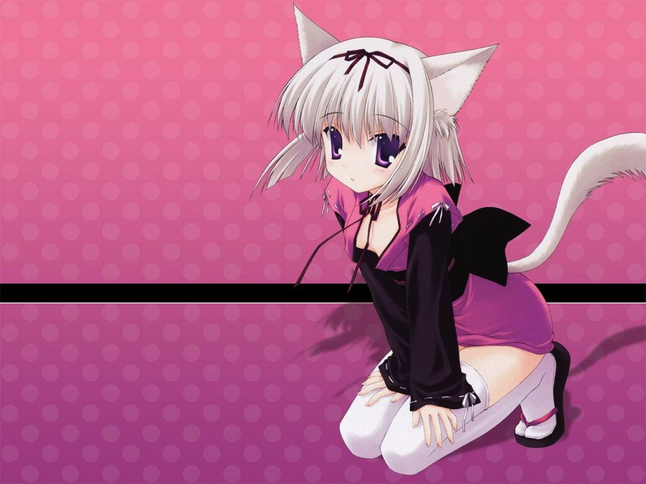 Anime Neko Wallpapers Wallpaper Cave