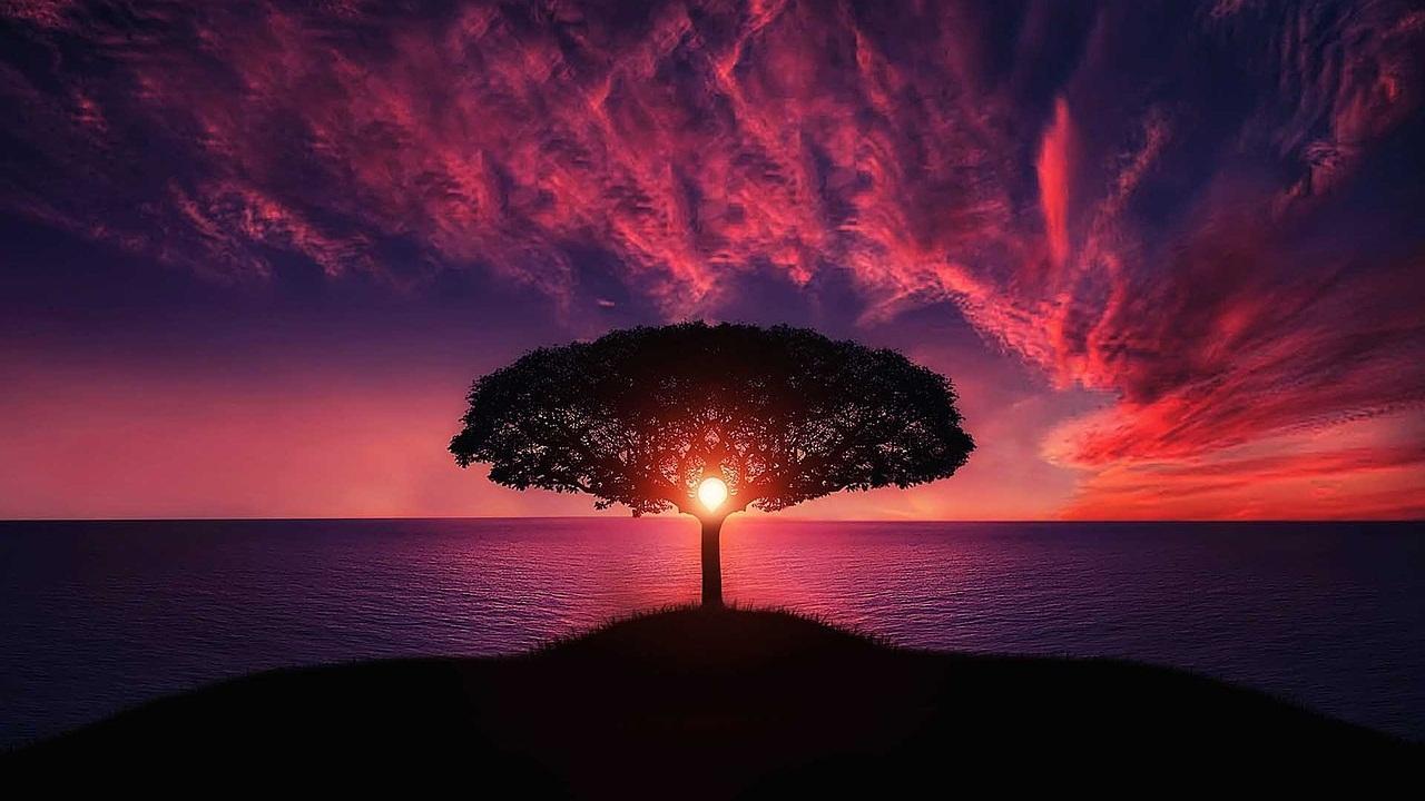 Reiki Wallpapers Wallpaper Cave