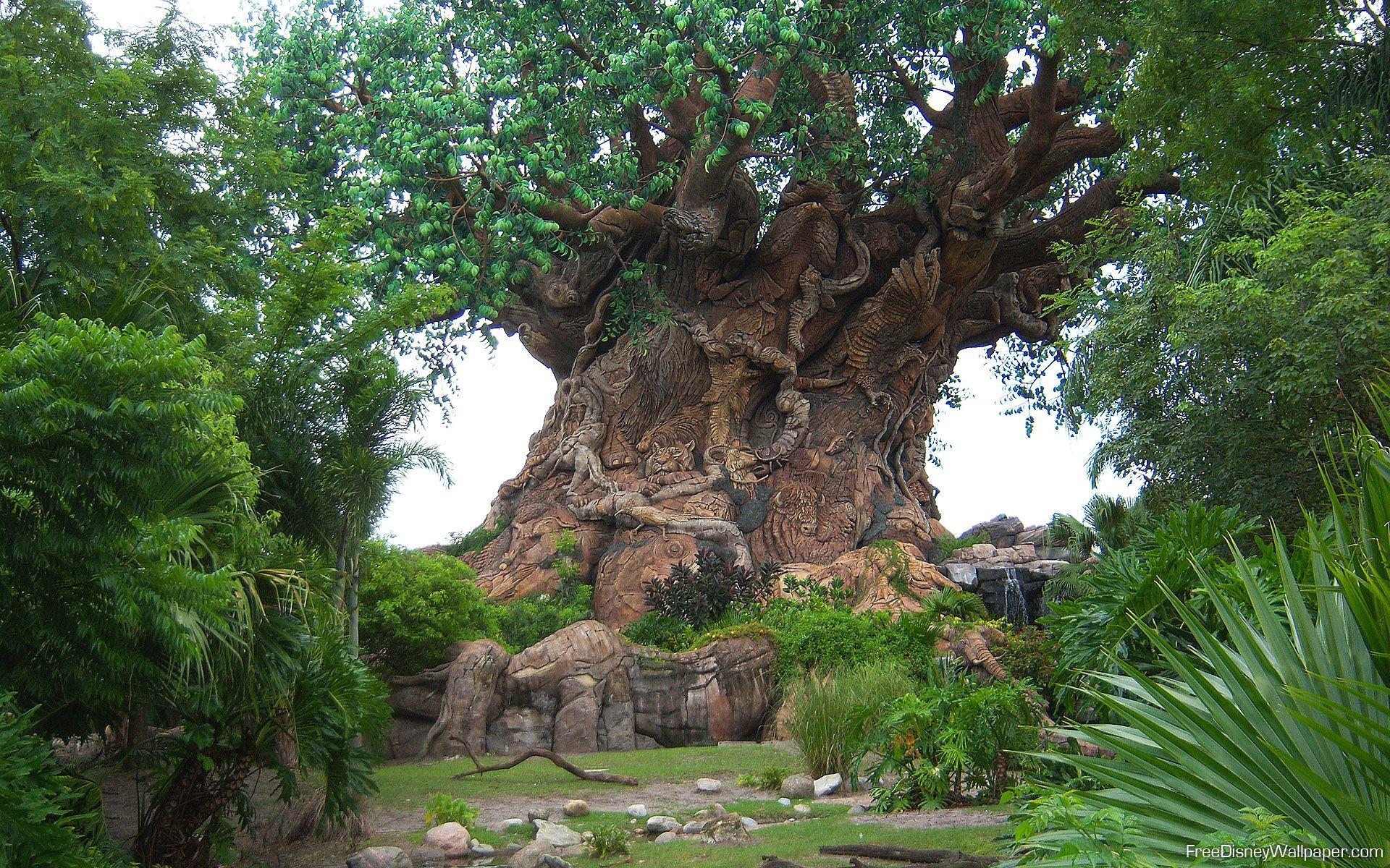Disney's Animal Kingdom Wallpapers Wallpaper Cave