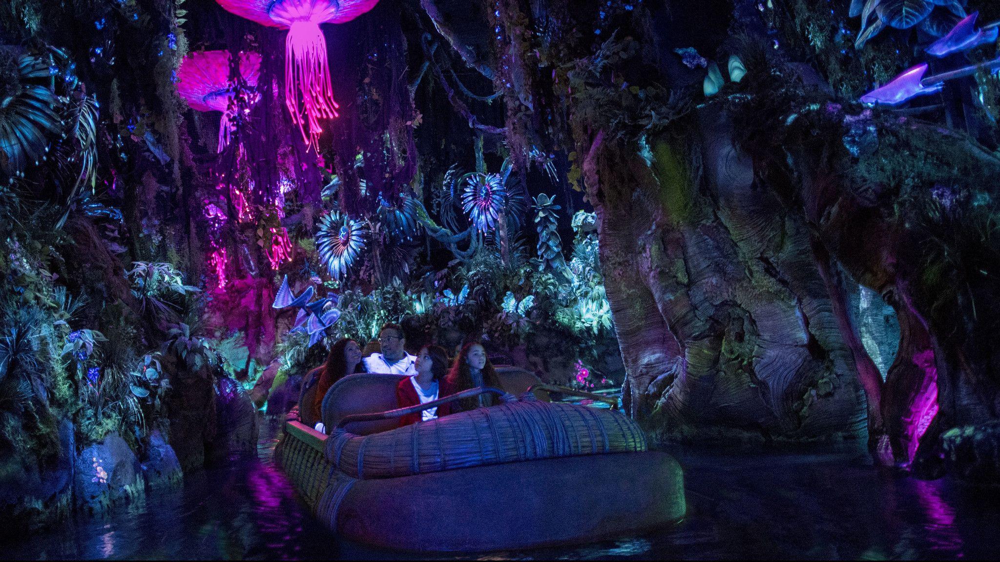 Disney's Animal Kingdom Wallpapers Wallpaper Cave