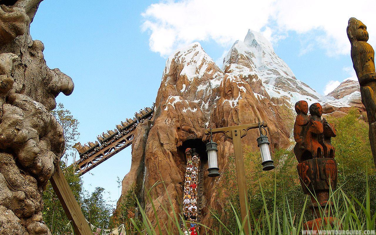 Animal Kingdom Wallpapers Wallpaper Cave