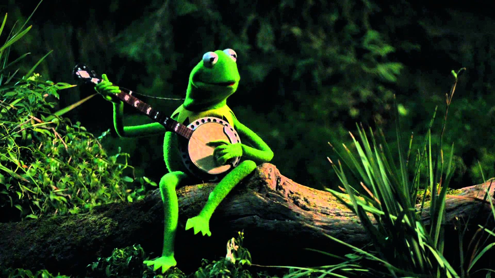 Kermit Wallpapers Wallpaper Cave