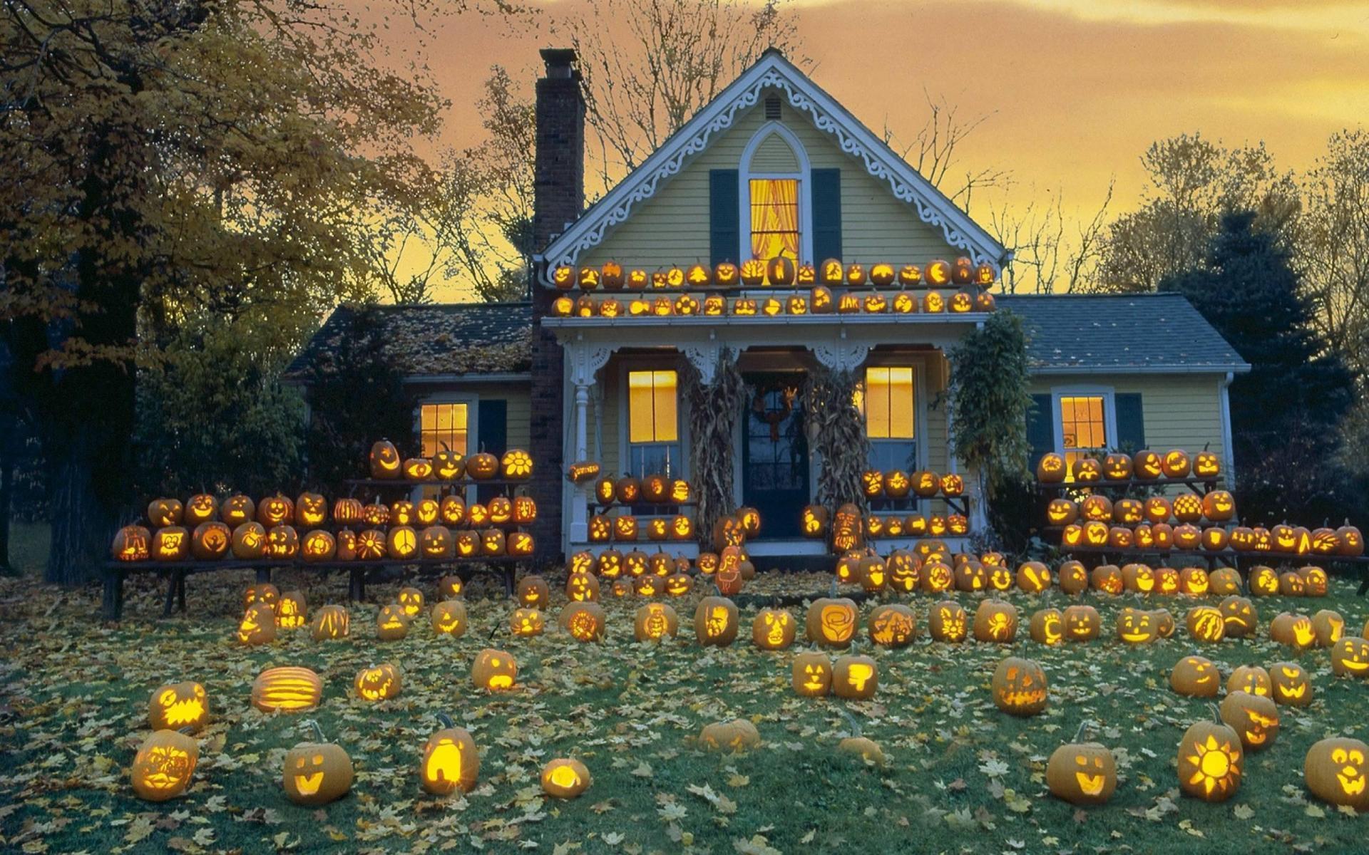 Pumpkin Patch Wallpapers Wallpaper Cave