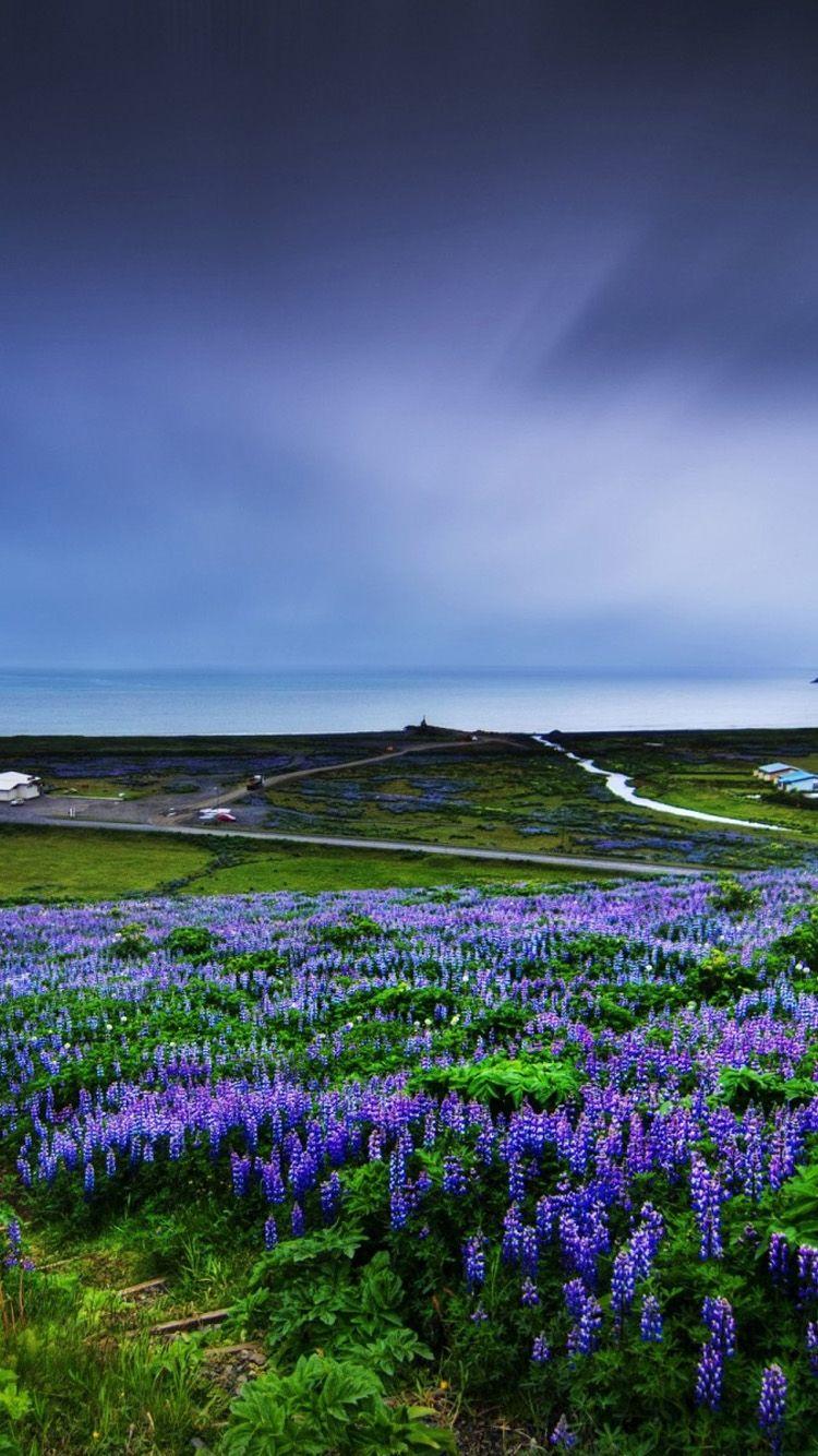 Prairie Wallpapers Wallpaper Cave