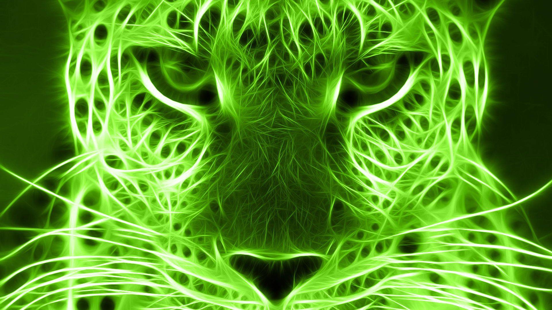 Neon Animals Wallpapers Wallpaper Cave