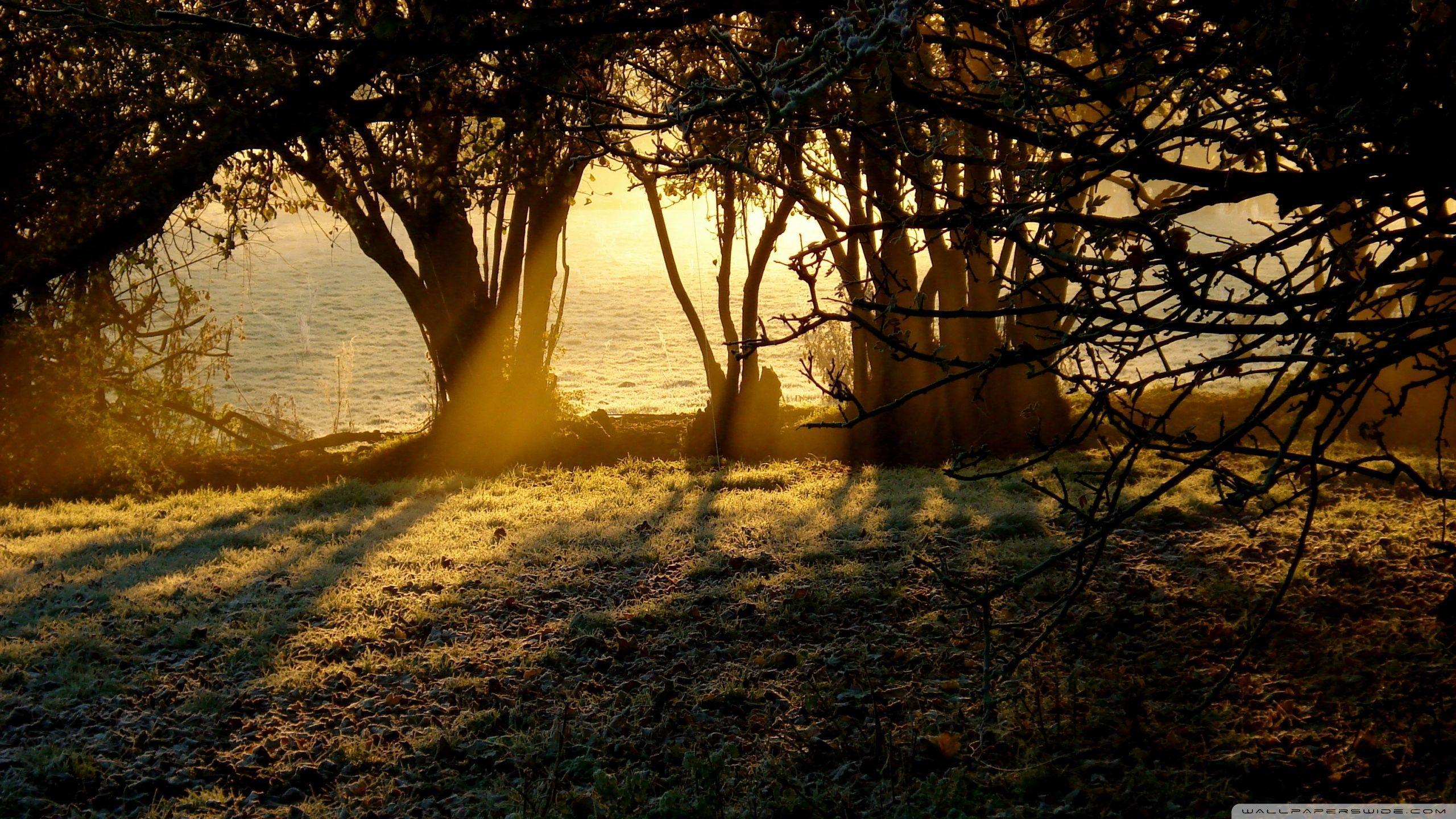 Sunlight HD Wallpapers Wallpaper Cave