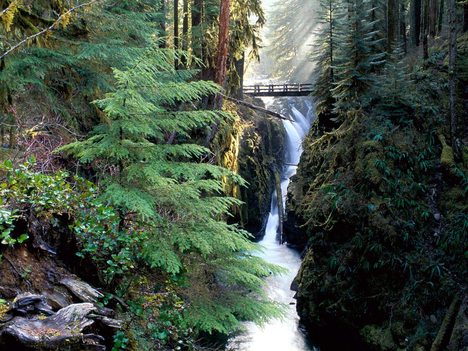 Olympic National Park Wallpapers Wallpaper Cave