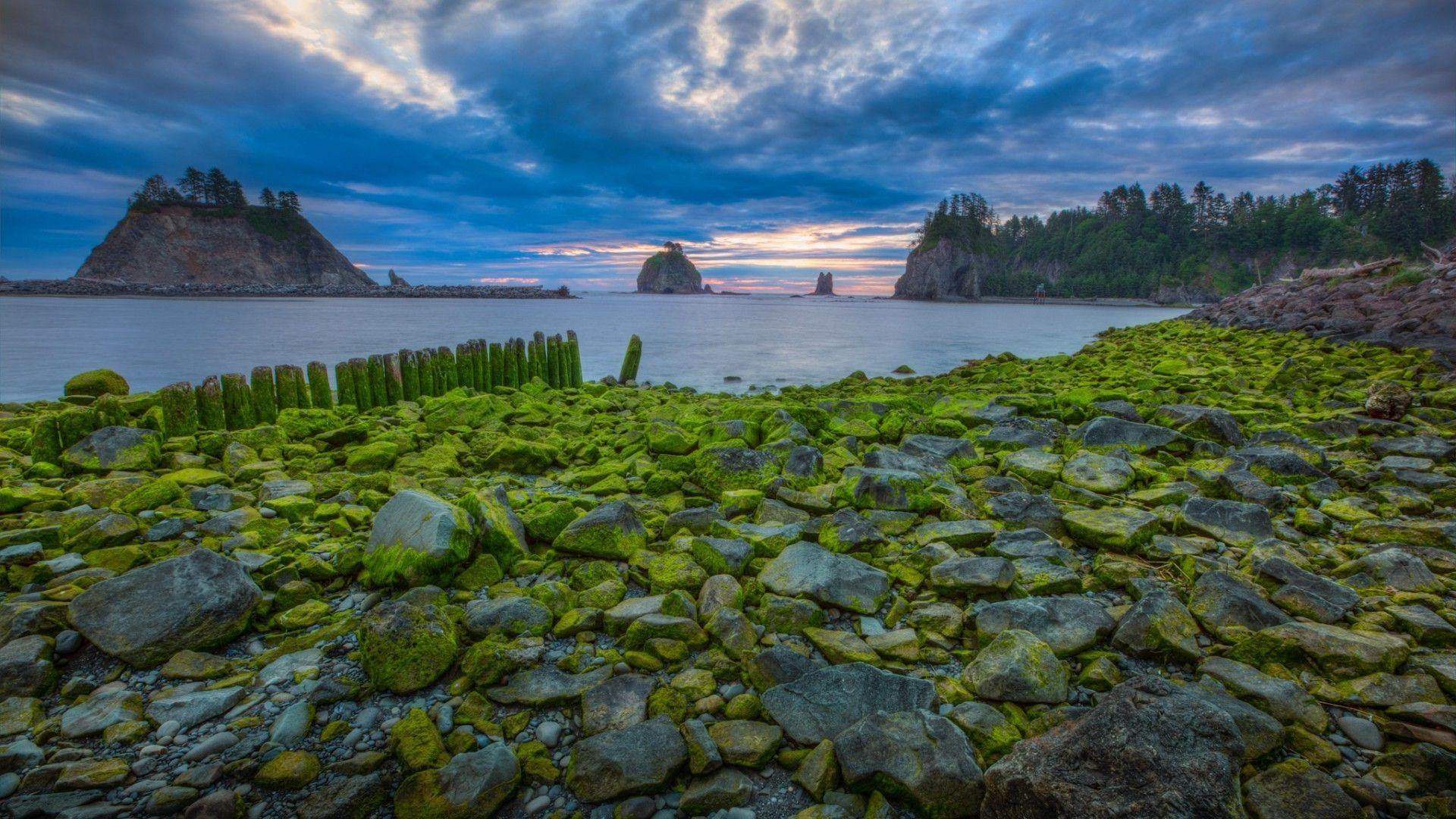Olympic National Park Wallpapers Wallpaper Cave