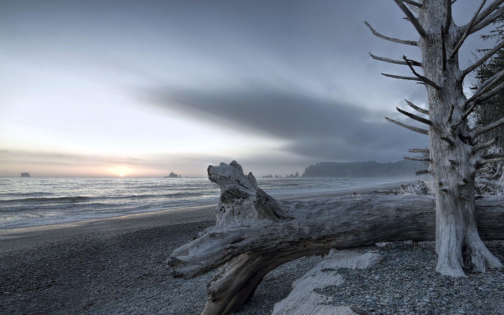 Olympic National Park Wallpapers Wallpaper Cave