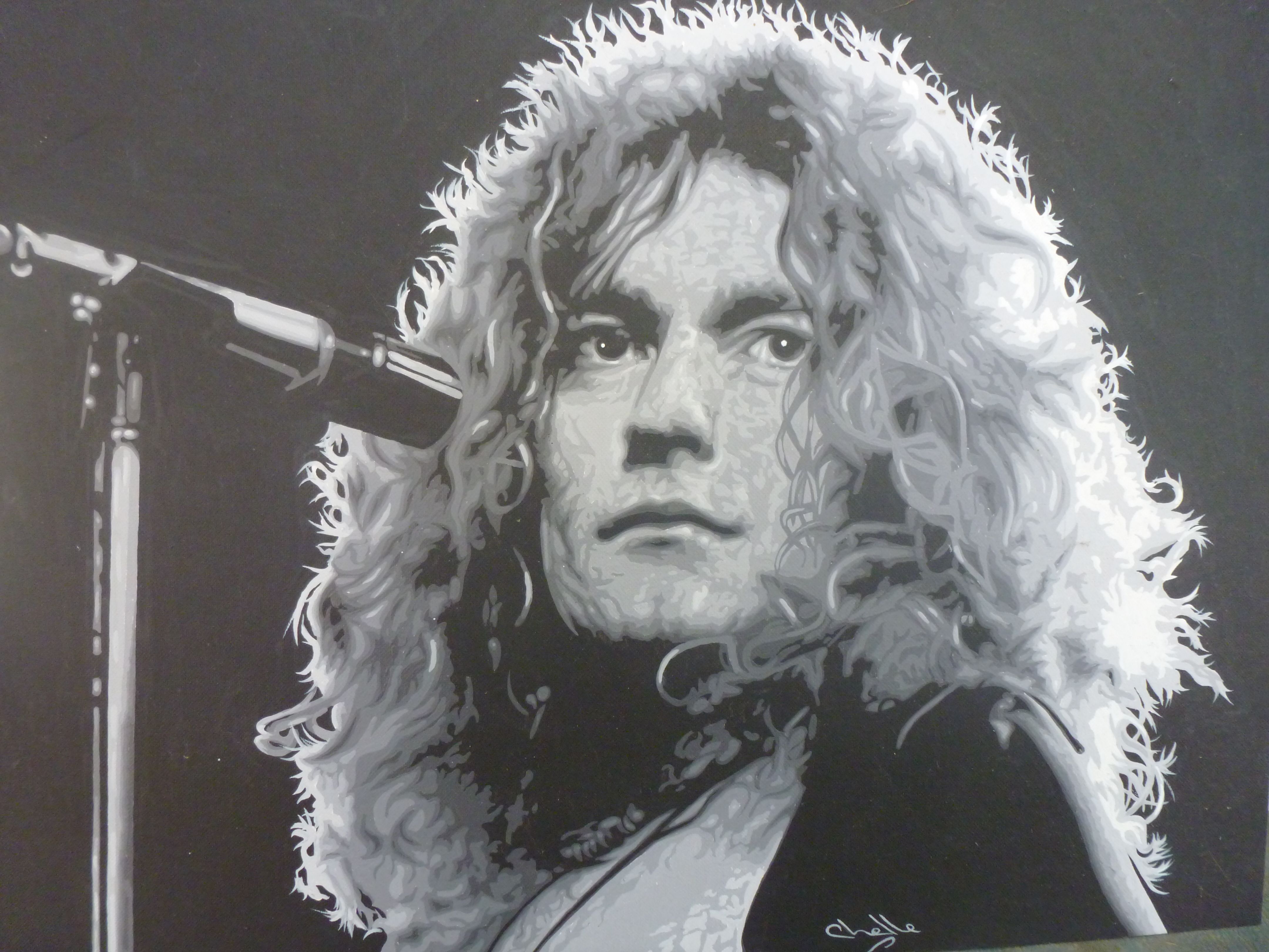 Robert Plant Wallpapers Wallpaper Cave