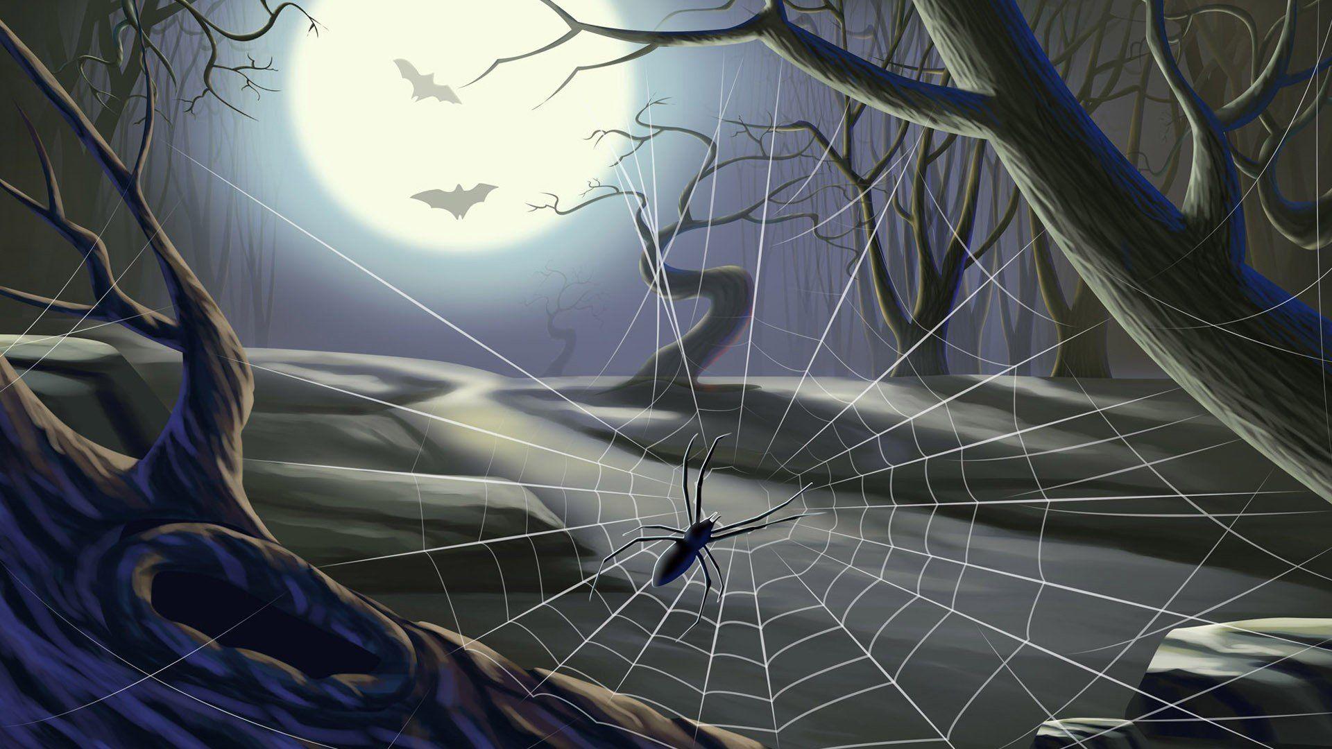 Halloween Spiders Wallpapers Wallpaper Cave