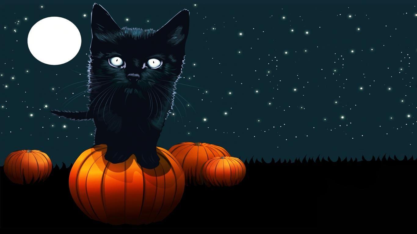 Halloween Black Cats Wallpapers Wallpaper Cave