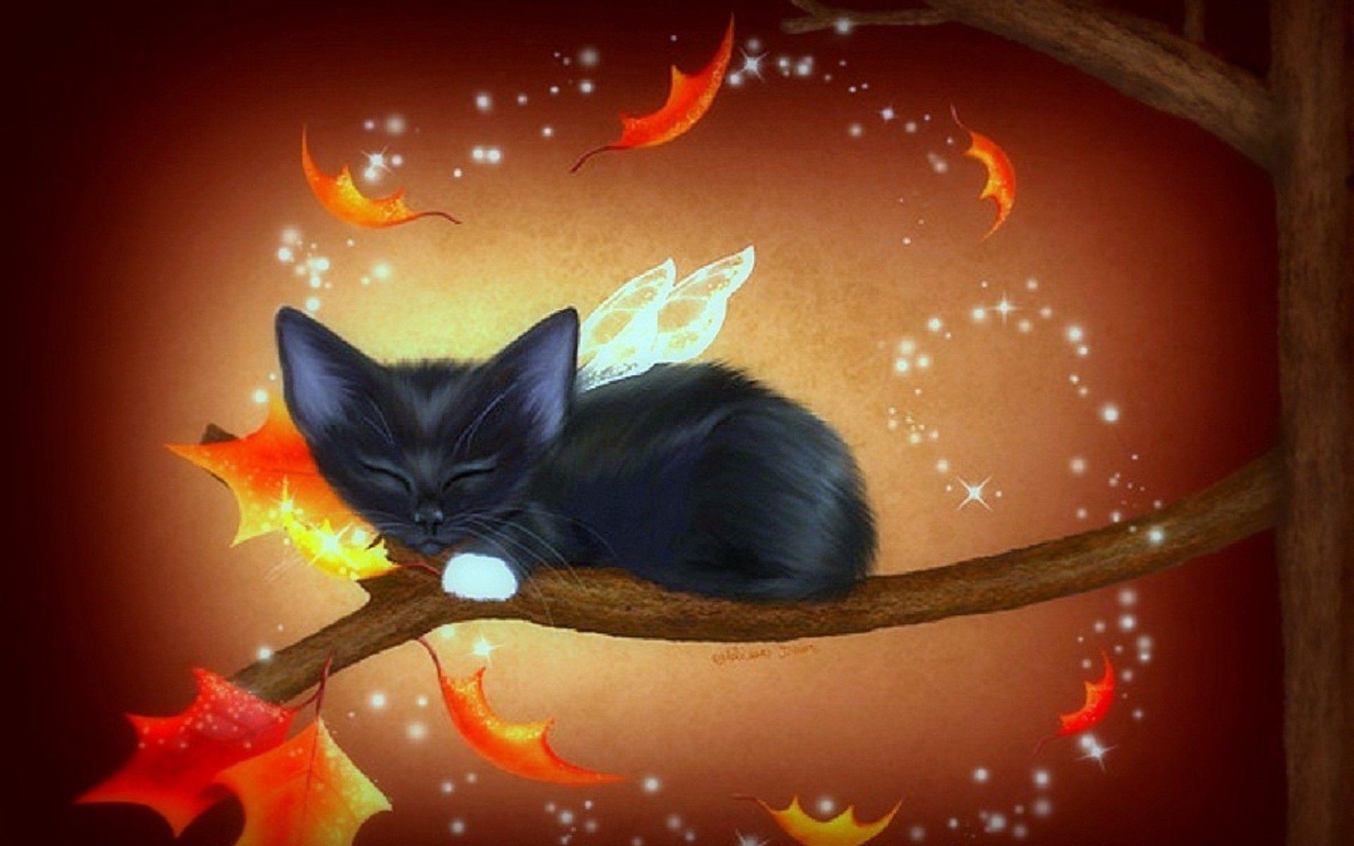 Halloween Black Cats Wallpapers Wallpaper Cave