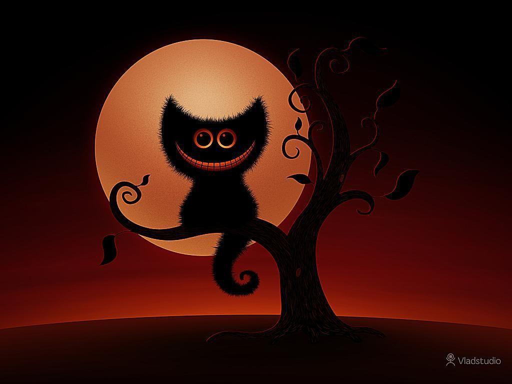 Halloween Black Cats Wallpapers Wallpaper Cave