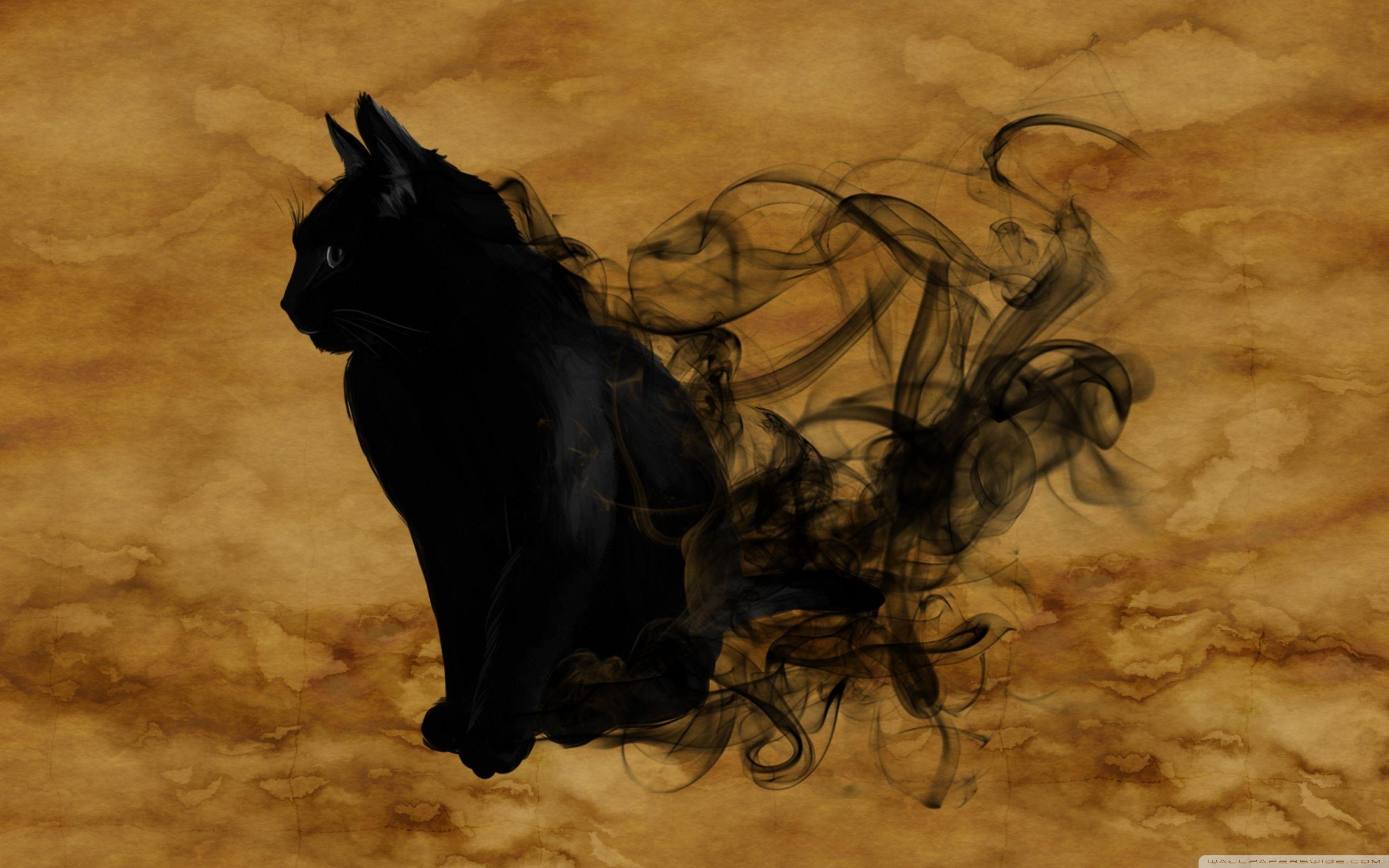 Halloween Black Cats Wallpapers Wallpaper Cave