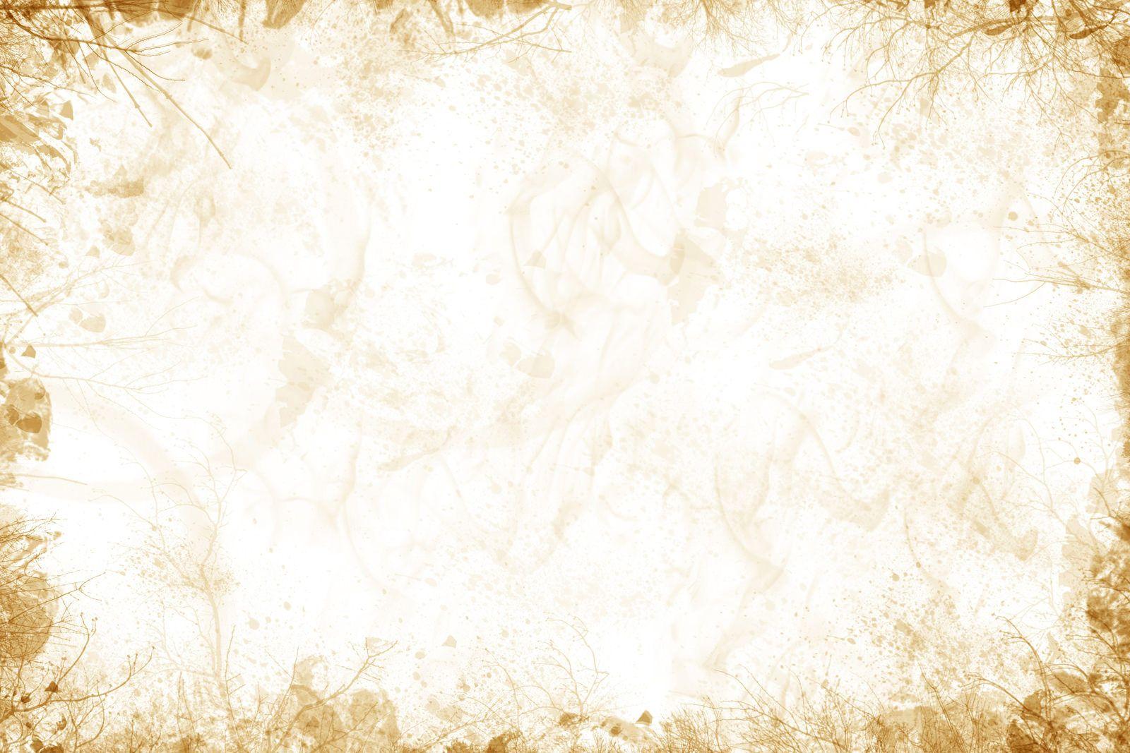 White And Gold Wallpapers Wallpaper Cave