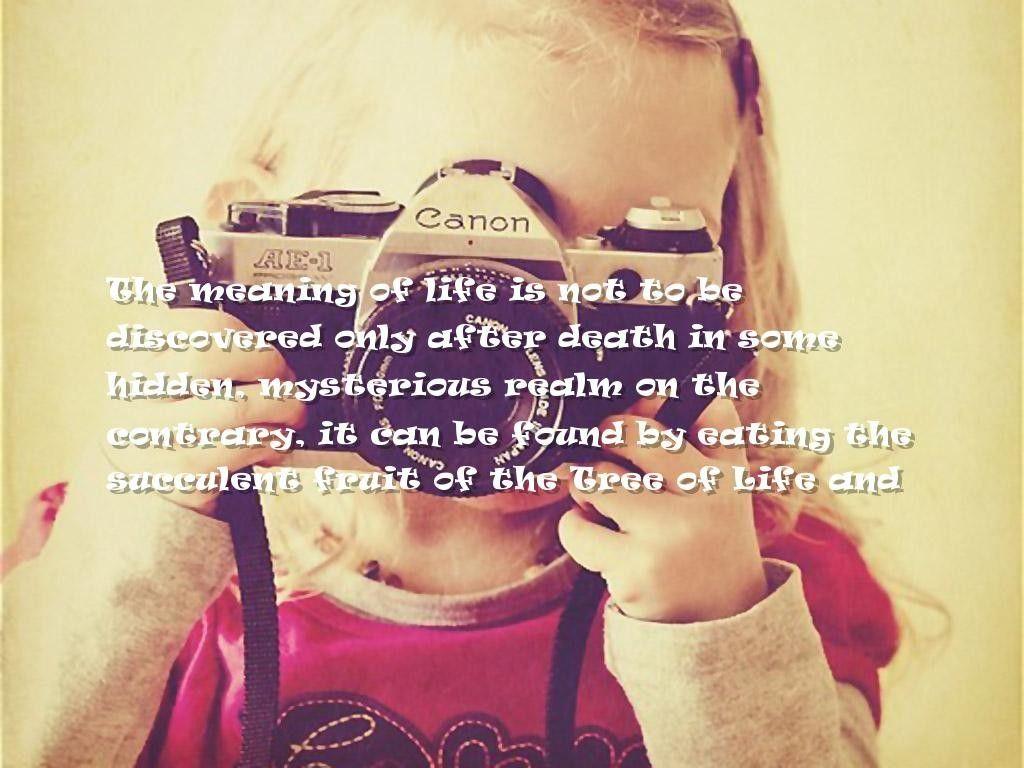 Meaning Of Life Quotes Wallpapers Wallpaper Cave