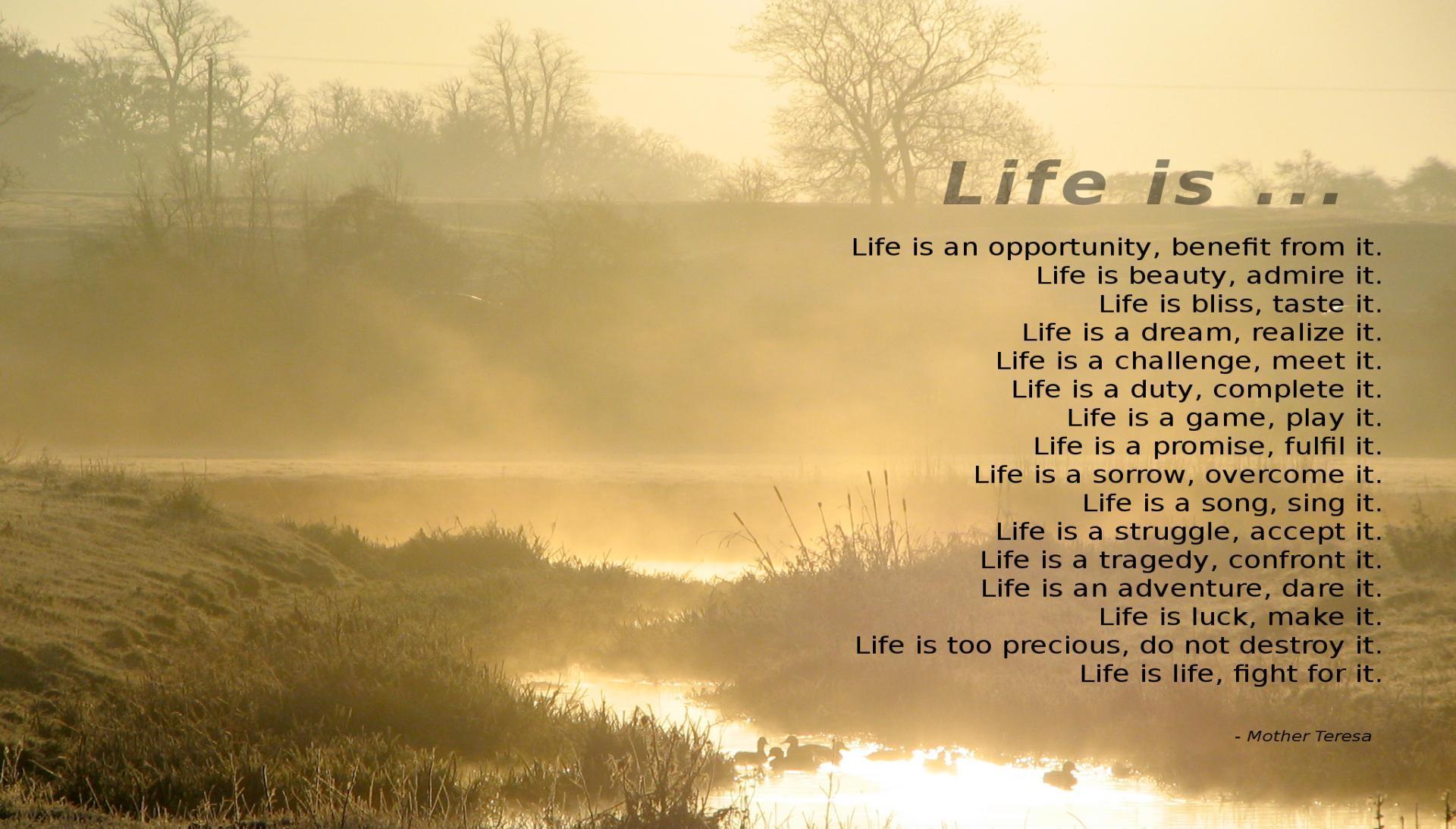 Meaning Of Life Quotes Wallpapers Wallpaper Cave