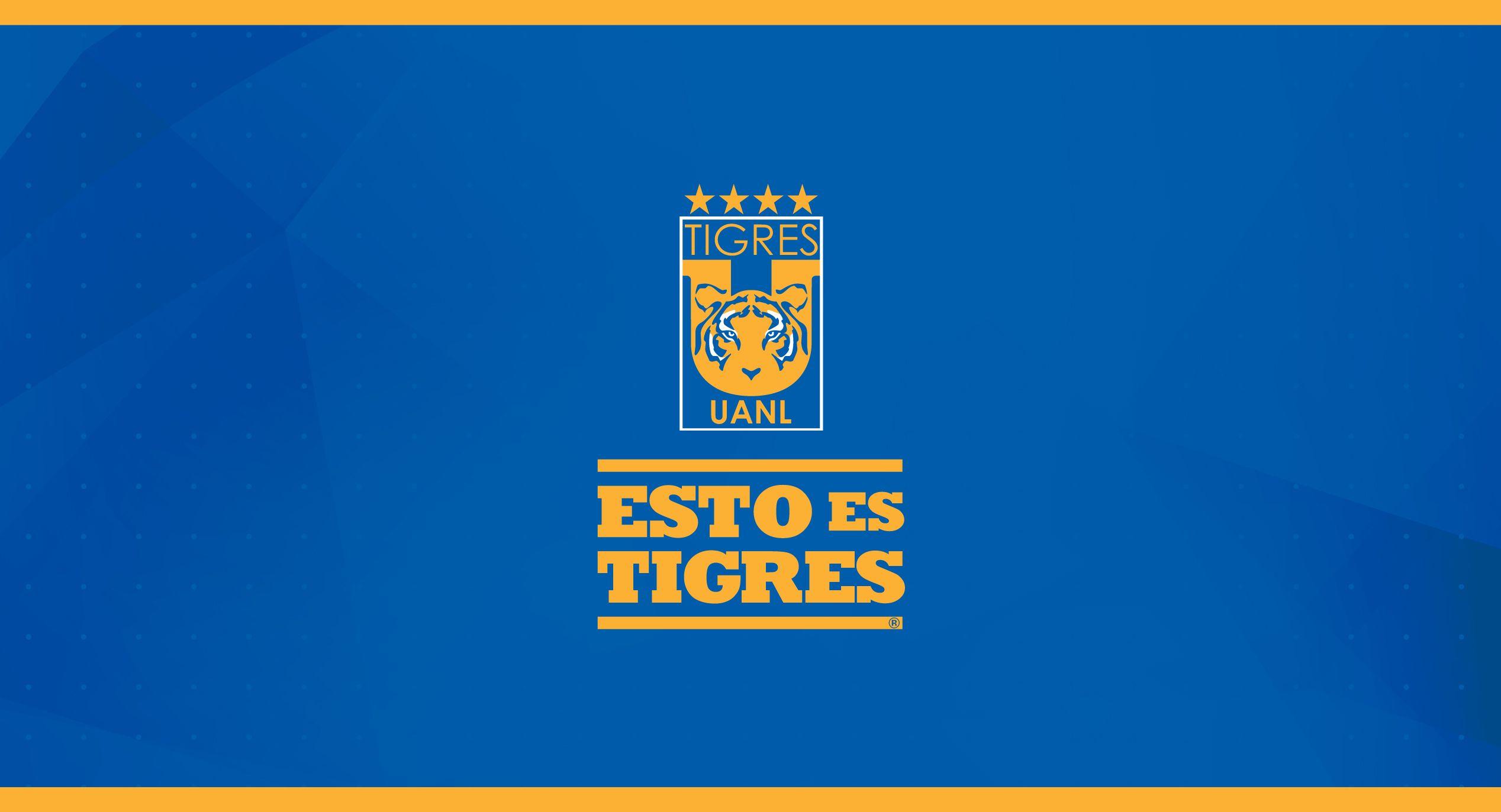 Tigres UANL Wallpapers Wallpaper Cave