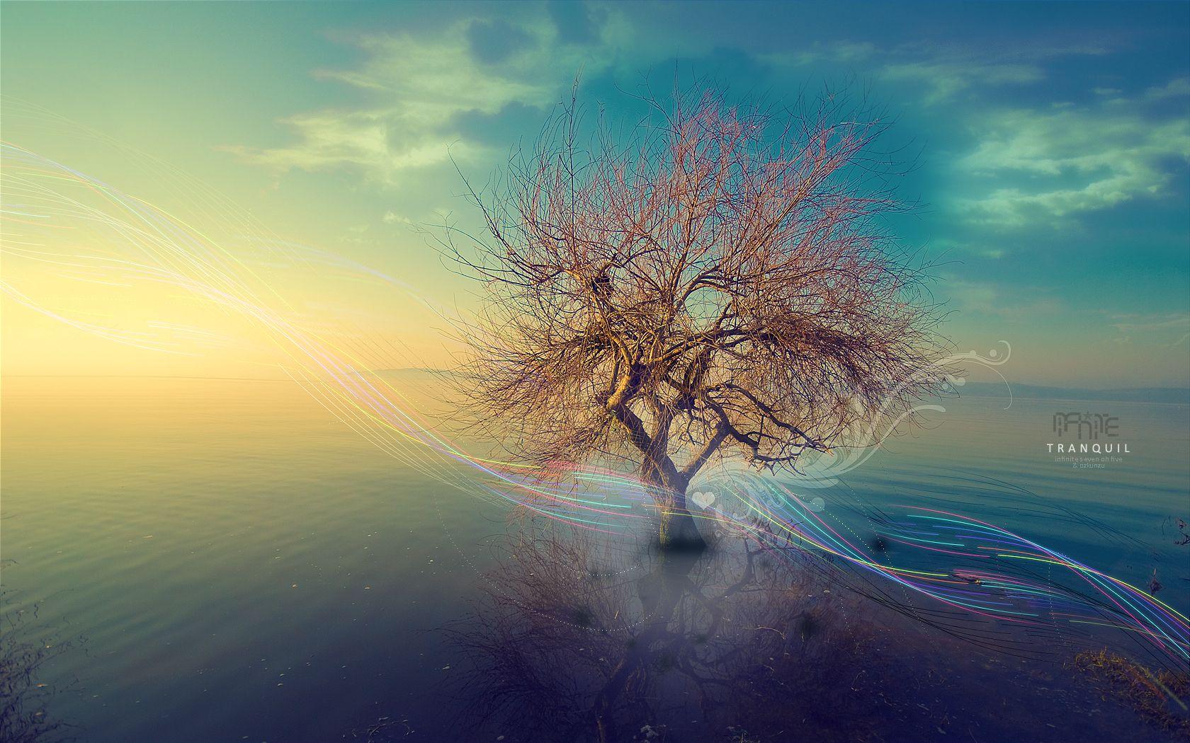 Tranquil Wallpapers Wallpaper Cave