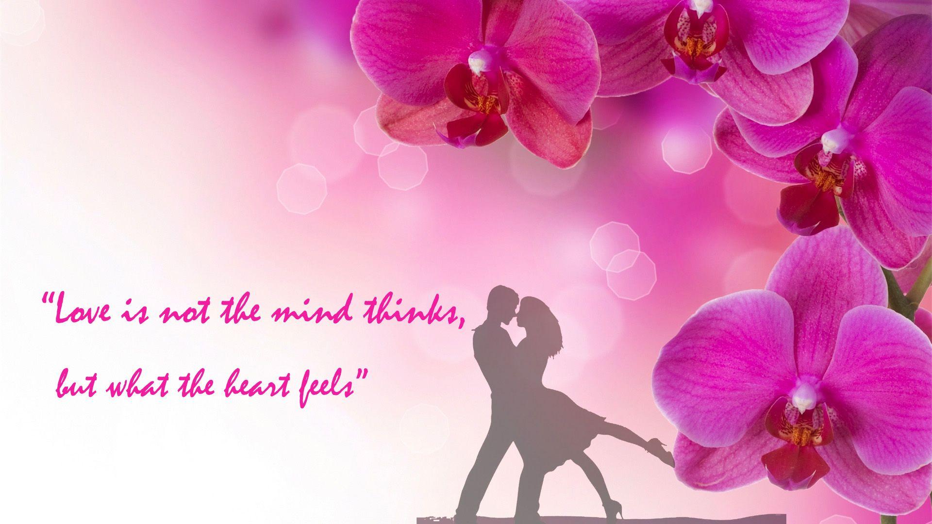 Pink Love Quotes Wallpapers Wallpaper Cave