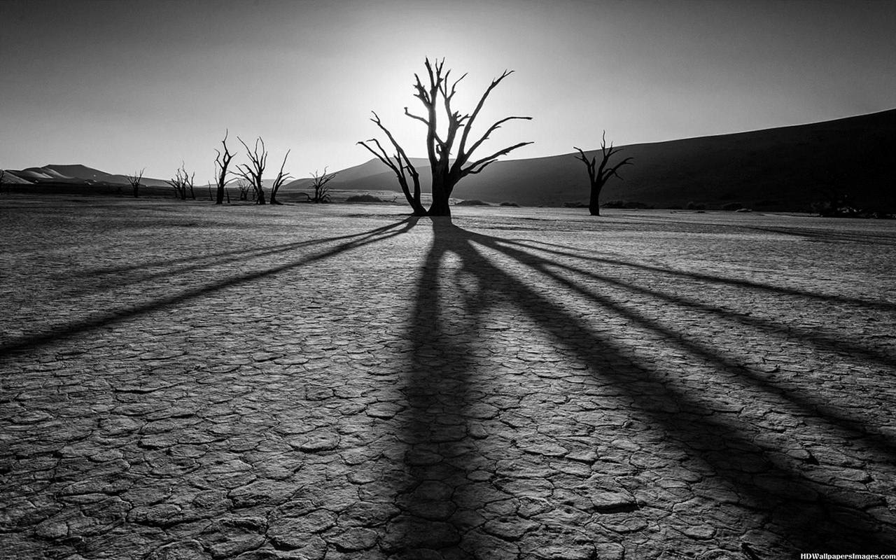 Black Nature Wallpapers Wallpaper Cave