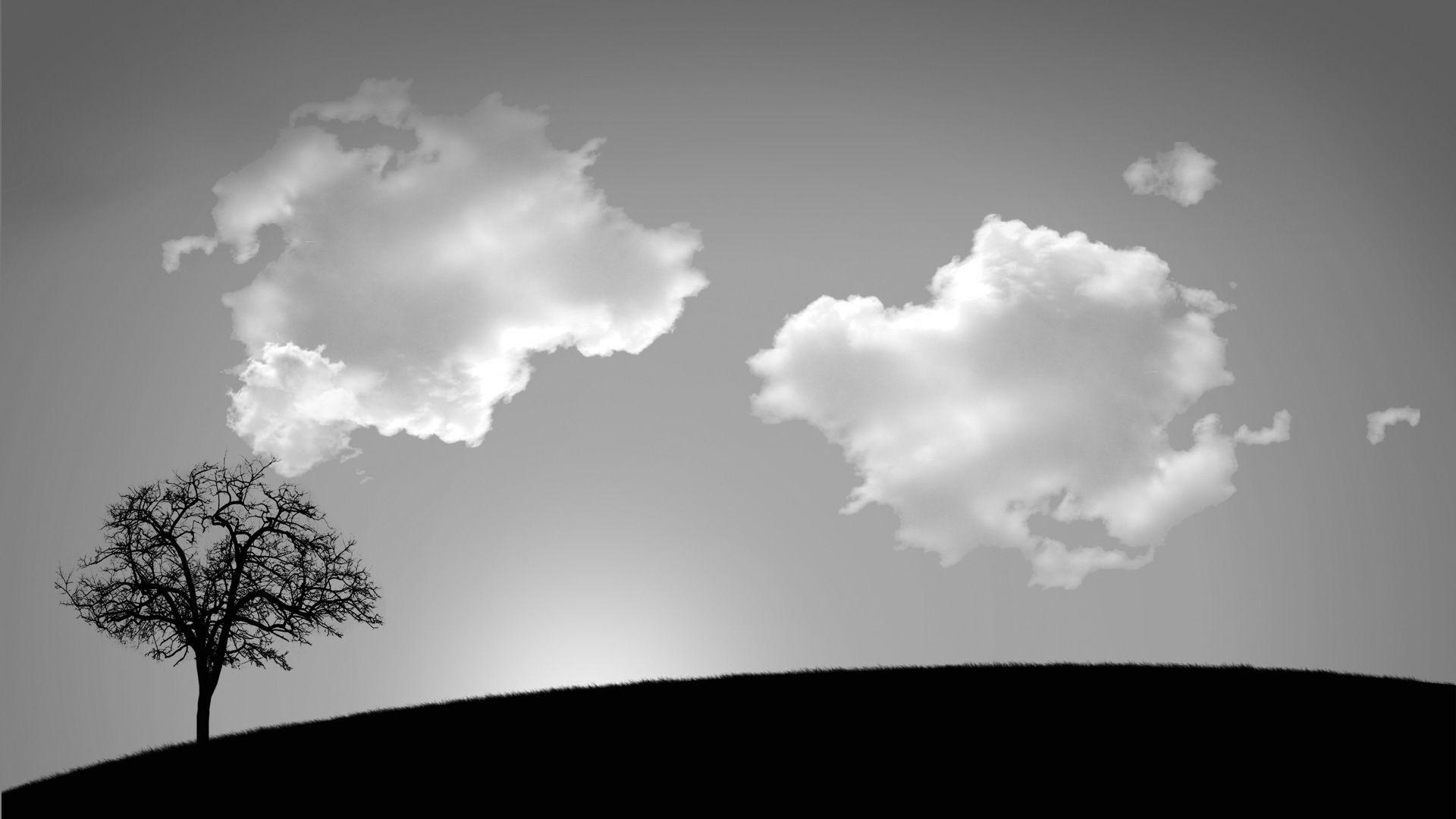 Black Nature Wallpapers Wallpaper Cave